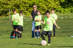 Staffelsieger D-Jugend