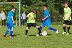 Staffelsieger D-Jugend