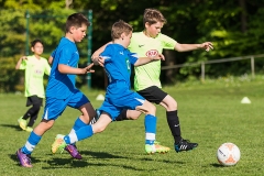 Staffelsieger D-Jugend