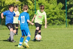 Staffelsieger D-Jugend