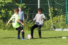 Staffelsieger D-Jugend