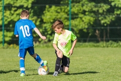 Staffelsieger D-Jugend