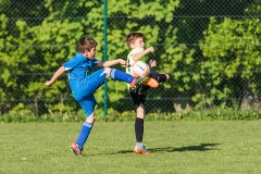 Staffelsieger D-Jugend