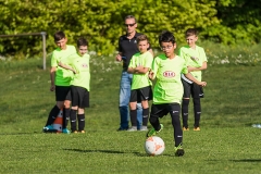 Staffelsieger D-Jugend