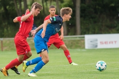 U17 TSG Hoffenheim - 1. FC Köln