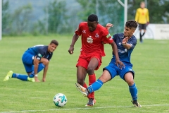 U17 TSG Hoffenheim - 1. FC Köln